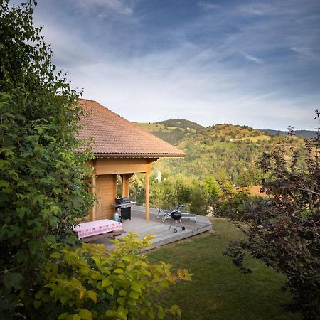 Chalet Skadi La Bresse Extérieur photo